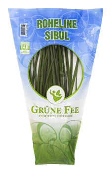 Värske roheline sibul