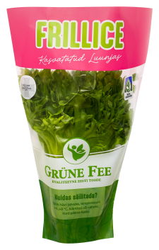 Grüne Fee salat frillice