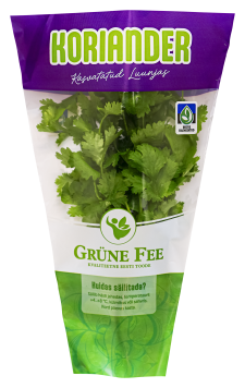 Grüne Fee koriander