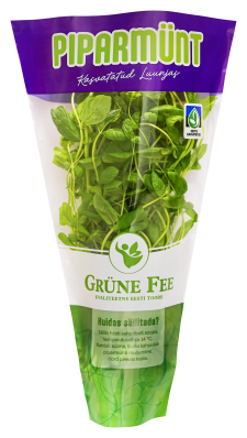 Grüne Fee piparmünt