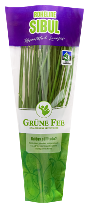 Värske roheline sibul