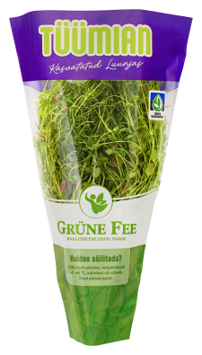 Grüne Fee tüümian